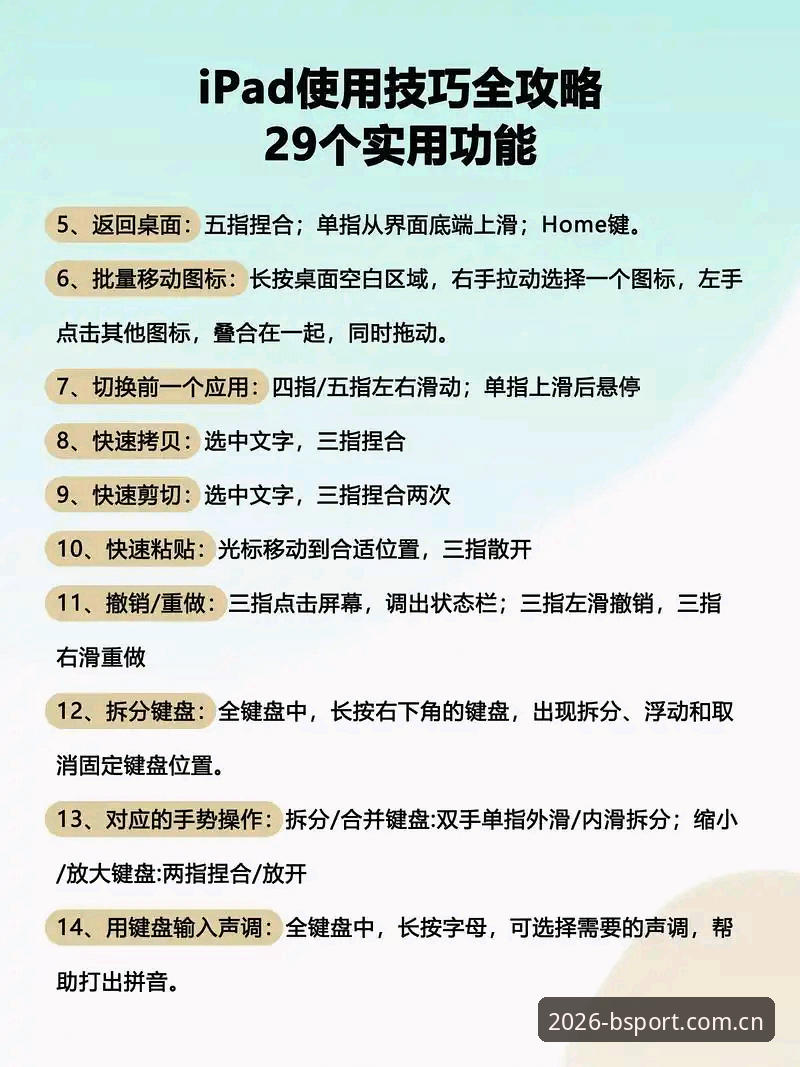 BSport2026最新版最新版 资深用户亲测:BSport2026最新版实战使用心得与高效操作指南